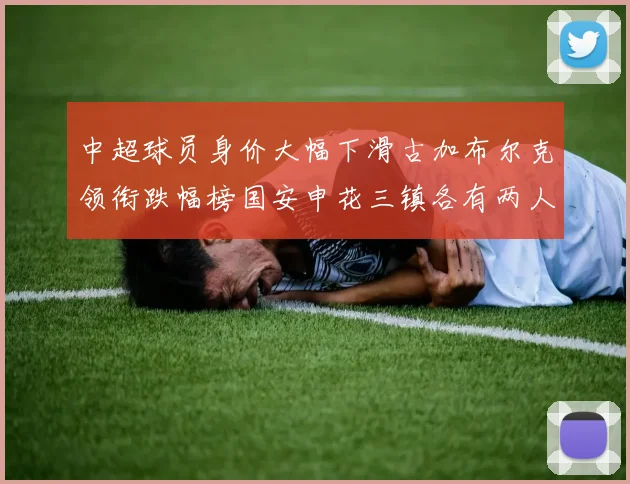 中超球员身价大幅下滑古加布尔克领衔跌幅榜国安申花三镇各有两人上榜