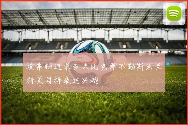埃弗顿追求多夫比克那不勒斯米兰科莫同样表达兴趣